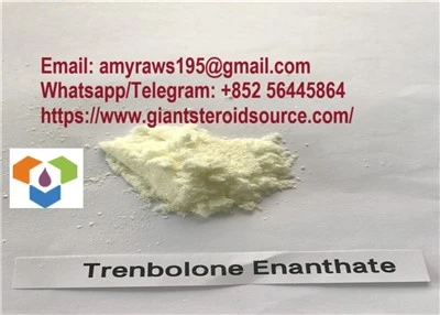 Trenbolone Enanthate ผงดิบ
