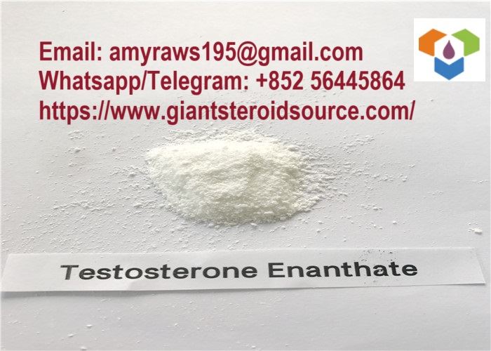 ผงเทสโทสเทอโรน Enanthate